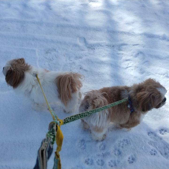 16c39379 202b 4c2d 8390 db991c998460 1675049630021