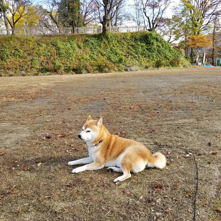 16c3d854 fb85 4961 9f87 88400cd3217b 1573967489405