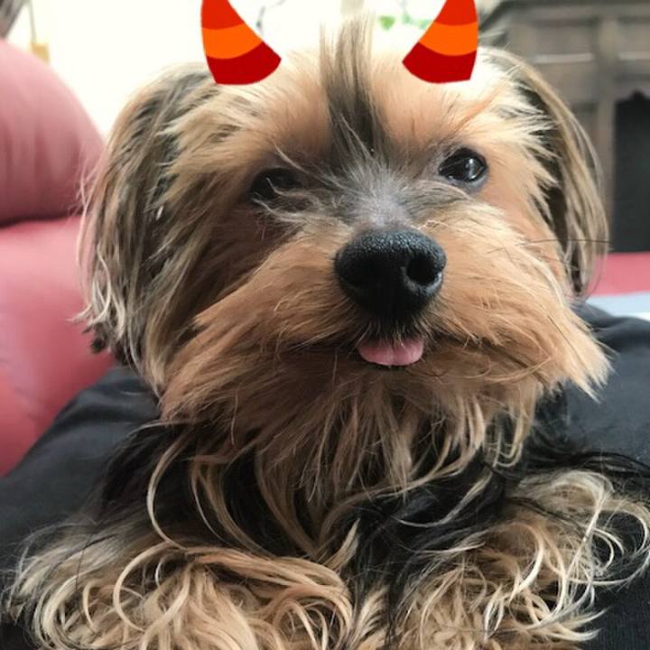 16c3e37d 770e 4afb 8267 d8e6f0ce146f 1517631402557