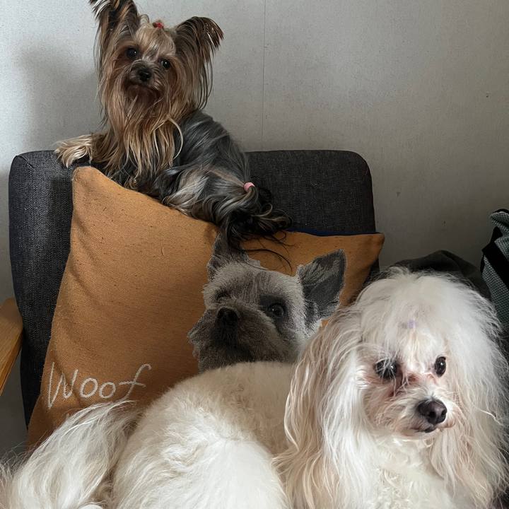 16c3f868 fc84 446f 82e4 af5958022189 1767406071743