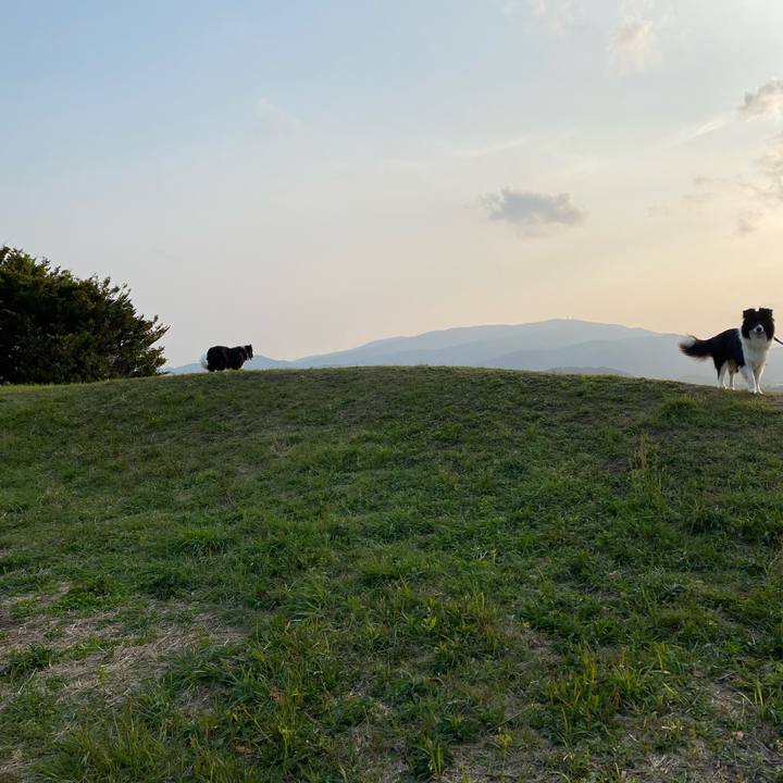 16c4434c 53b1 4ae0 8dff 25d6ff248c71 1651484525694