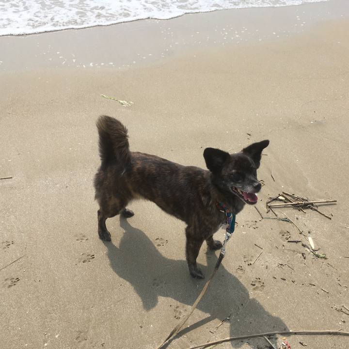 16c4526b 43f0 4b80 8468 1b9a8c85ce64 1532915061295