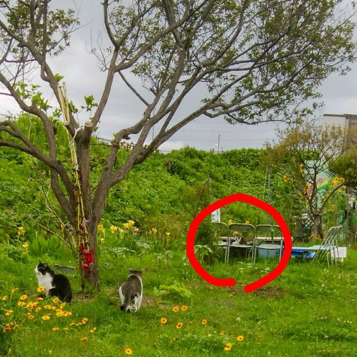 16c4536b 4557 480e b924 b46960029b78 1562326895195