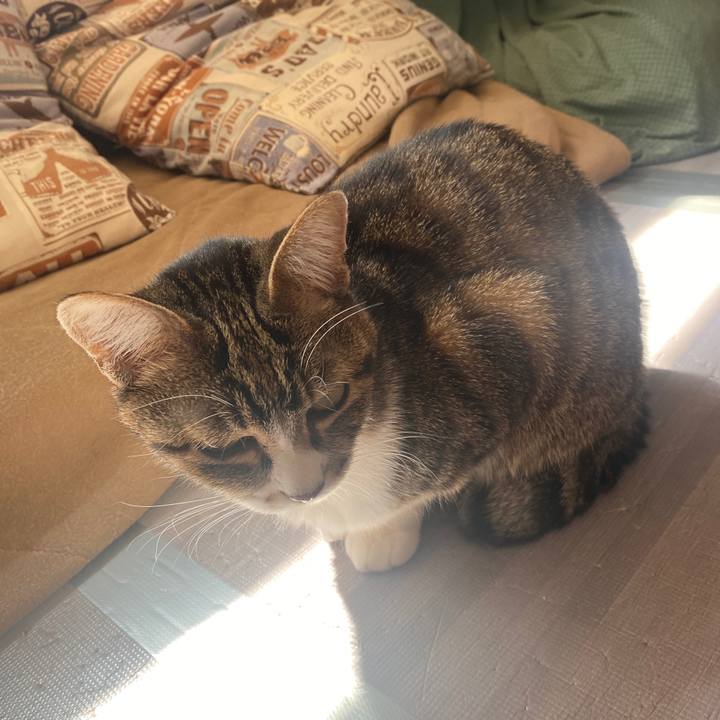 16c46654 75d8 4d9b 90e7 e8de683923b2 1646793860146