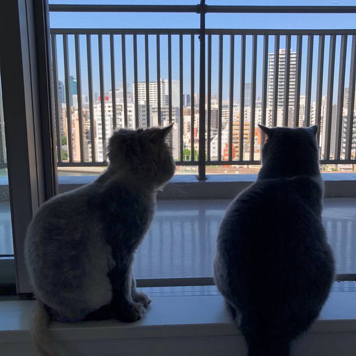 16c46ecb 40b4 46a0 ade2 06bb460708bf 1524871690217