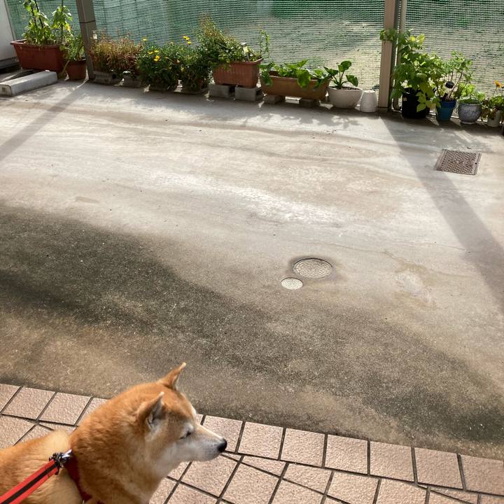 16c47080 9141 407d 94aa f1b927455498 1624288690747