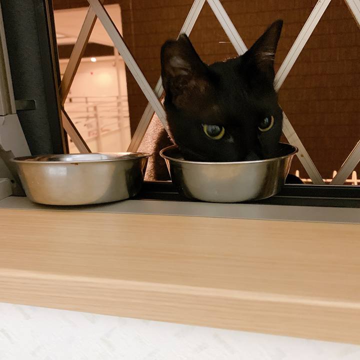 16c4b2a9 20a9 42ca 8ee3 c8464443eb51 1562296945109