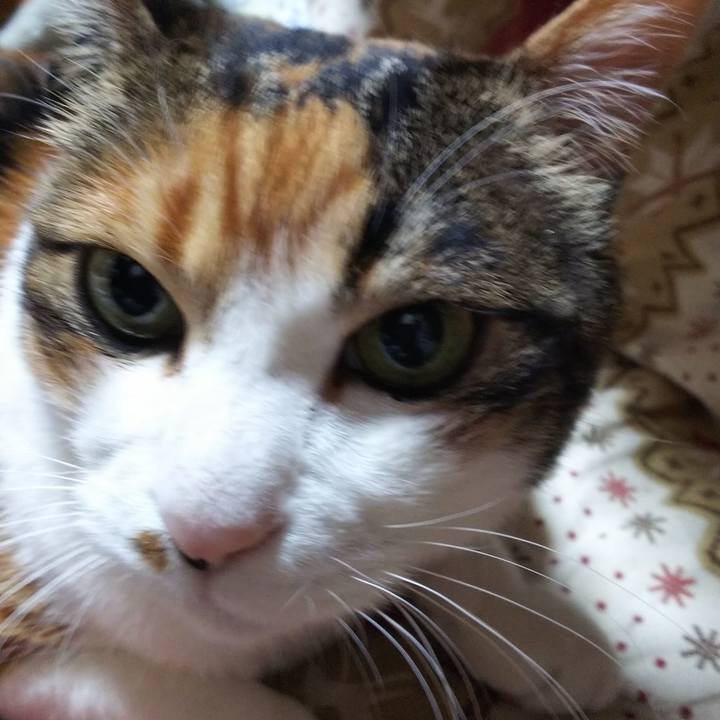 16c4c946 b1a7 4d9d 80aa 1737f7155900 1552694163896