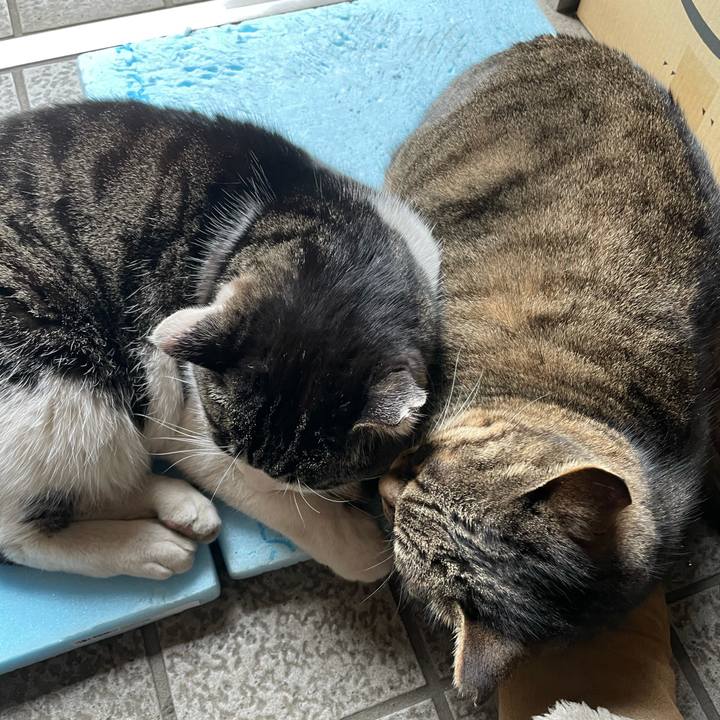 16c51a5b bfca 48e6 9f0f 04216d9db0bf 1613281174047