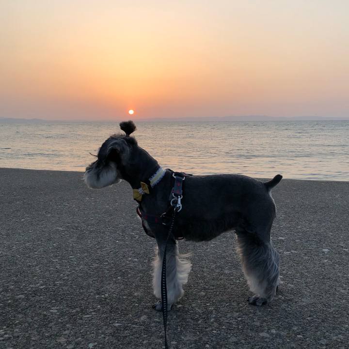 16c51d1c 508d 4341 a0c7 481b043ef05a 1651151868954