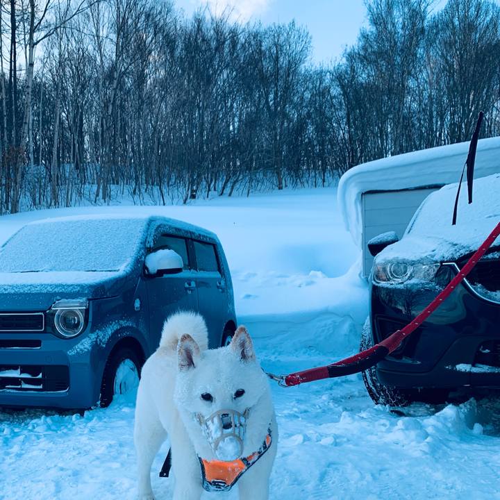 16c51d2f 6cf9 452a 825d cd0dfa3db01a 1675550616084