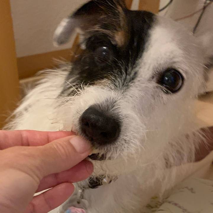 16c527c1 076a 40dd 855f 1e99943ebb8b 1659520707841