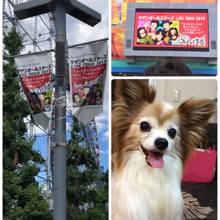 16c527d1 5011 4e81 8c92 ee218282cc5c 1560688494390