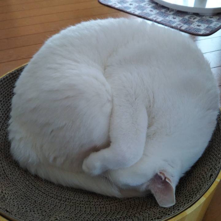 16c52d04 6ef5 497b a51d bea7c0981bd4 1594447389568