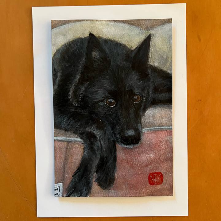 16c535cd 7d35 48c6 af45 ee9b09046684 1739924472963