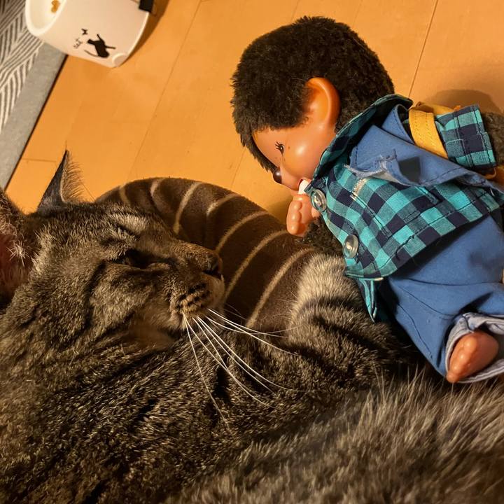 16c5374b 4280 45f6 b645 3967d1043602 1762691666907