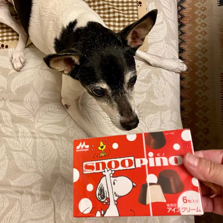 16c551a8 8bbc 4f98 abfe 0c3c22a39044 1623757754873