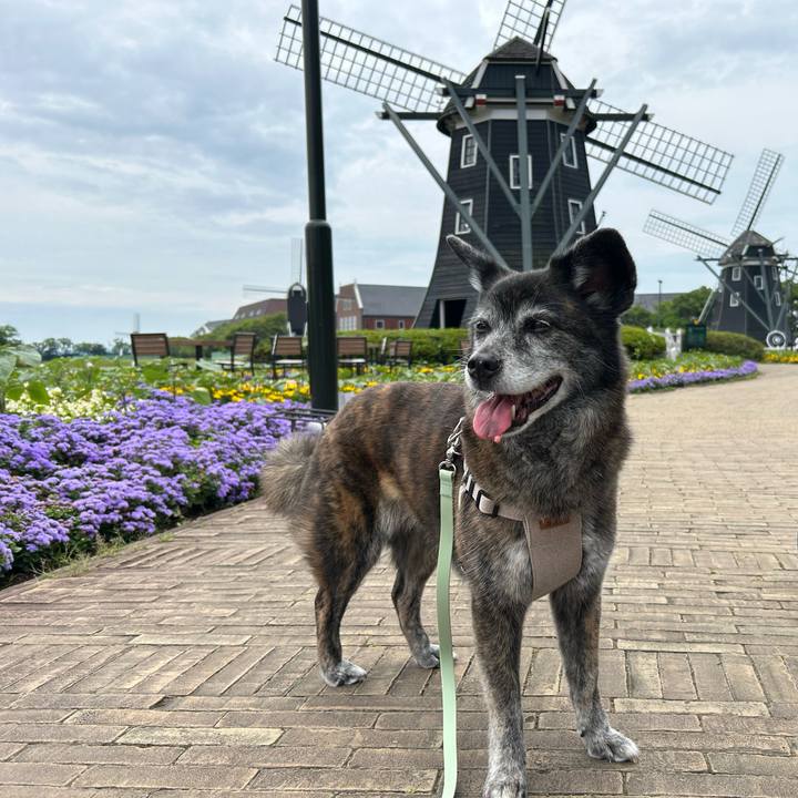 16c5868d 1327 4118 bf94 67e2509913be 1719181998563