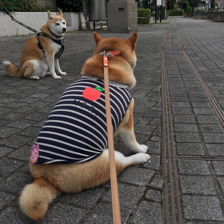 16c59489 46a7 4906 88c4 cfc6c972c3e5 1566168068535