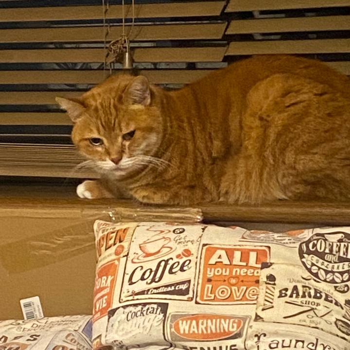 16c5aa1a 33d6 47aa 93aa 1dccde662636 1673016728803