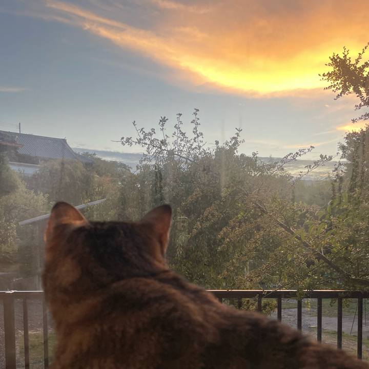 16c5cf0c 8b60 4a0f 8c44 4bb5613c5645 1664744081143