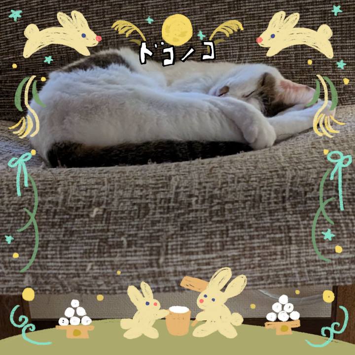 16c5d59b 246c 4ad6 84ca a40ab79c7dd5 1726814508787