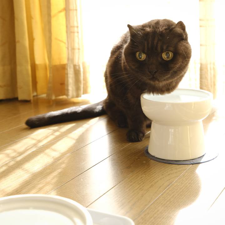 16c60c88 ca6d 4419 ac9a b0c6aa96e401 1642435423455