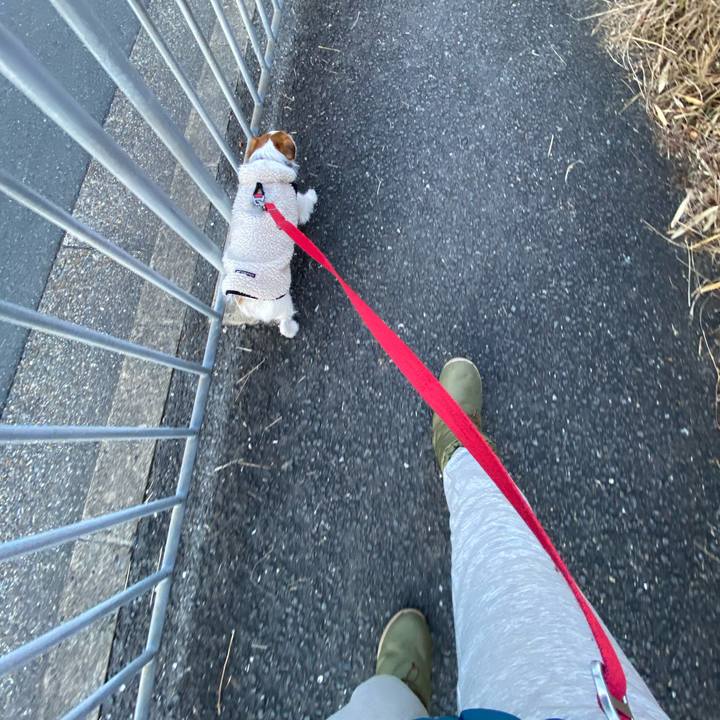 16c61a33 d371 4bed b2fd 0bbcb2067f1d 1739144167791