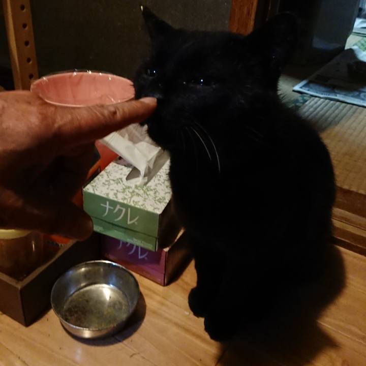 16c62450 1de3 4c21 8413 3318ae8a12b3 1624972725944