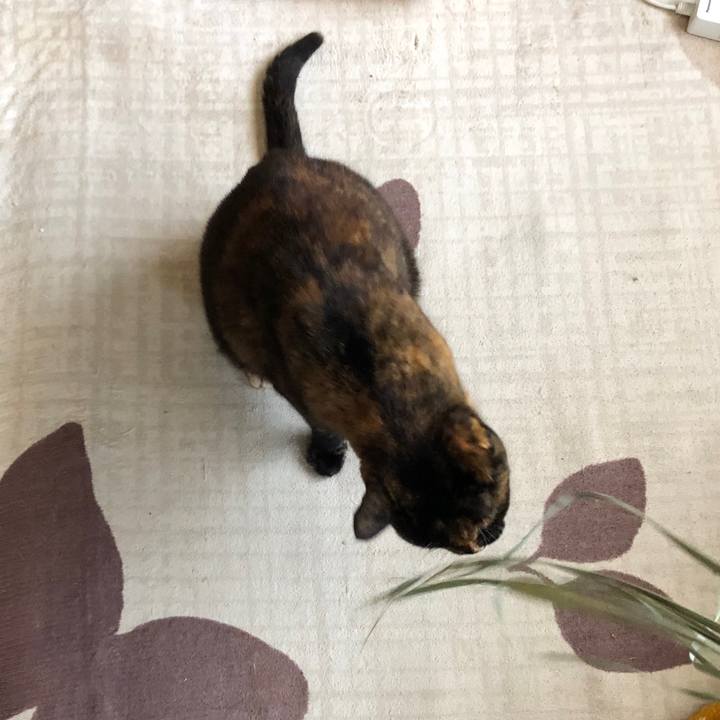 16c6297a 537b 4cd1 9b74 0964b544a6b0 1649382244616