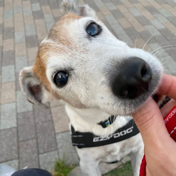 16c63c34 ee39 495b 8c8c 93ea82675ac4 1601543940589