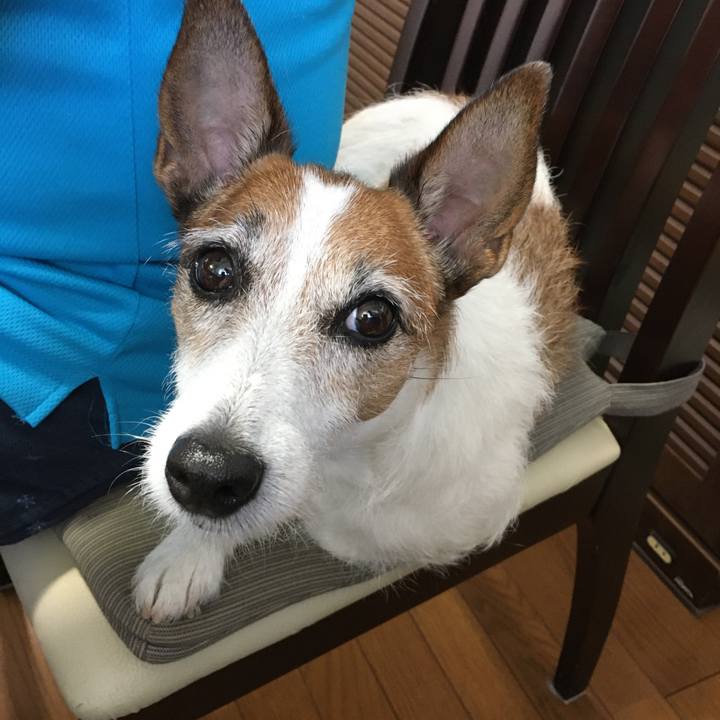 16c63db5 b3da 46a0 bf52 7689697e5f8c 1591744643678