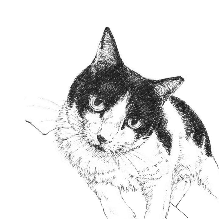 16c6420a 32f6 4a30 aae1 835378a9fb10 1619012462265