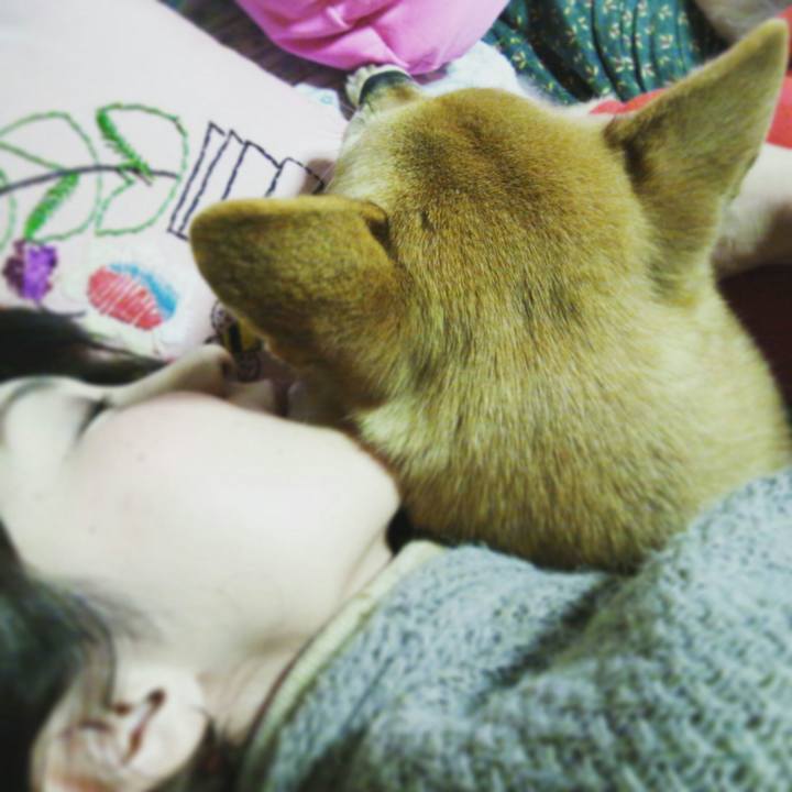 16c67436 34af 4dcf ab2a aa694b0dacb2 1534566656693