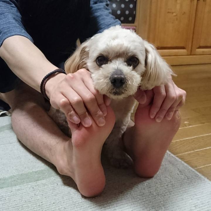 16c6b990 c83f 411a 8bf1 a6d4d376de1e 1589886405492