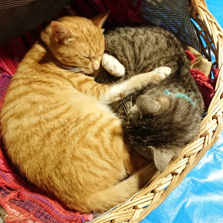 16c6be68 c624 4c45 a927 79e53ed490f6 1561792793637