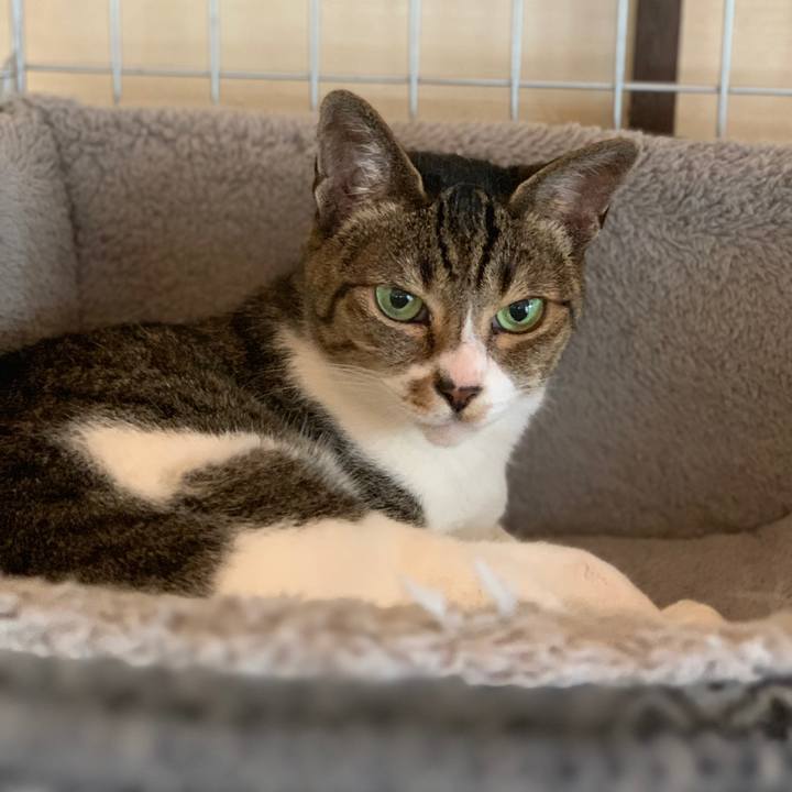 16c709c3 d9da 4cf0 b317 c10030d1c788 1558917462045