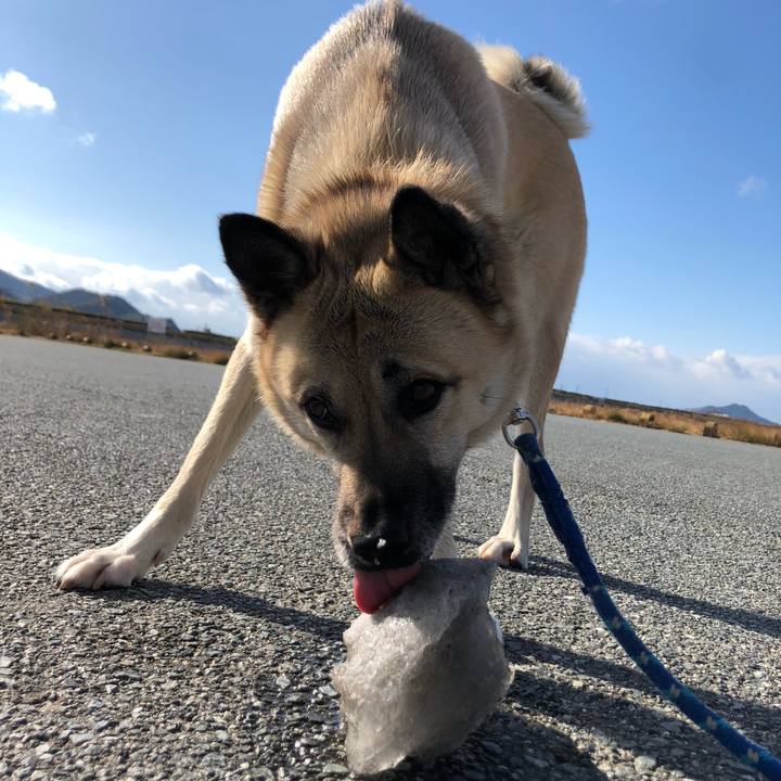 16c74d6c 3b51 44f0 a058 f9f03dd260ea 1610277273145