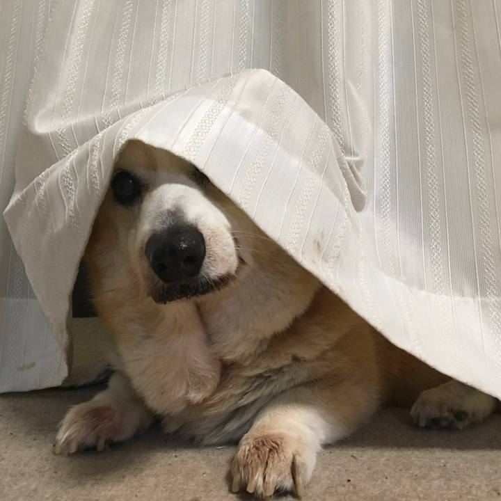 16c74d6d 016d 4426 9974 9303f679894a 1611204261616