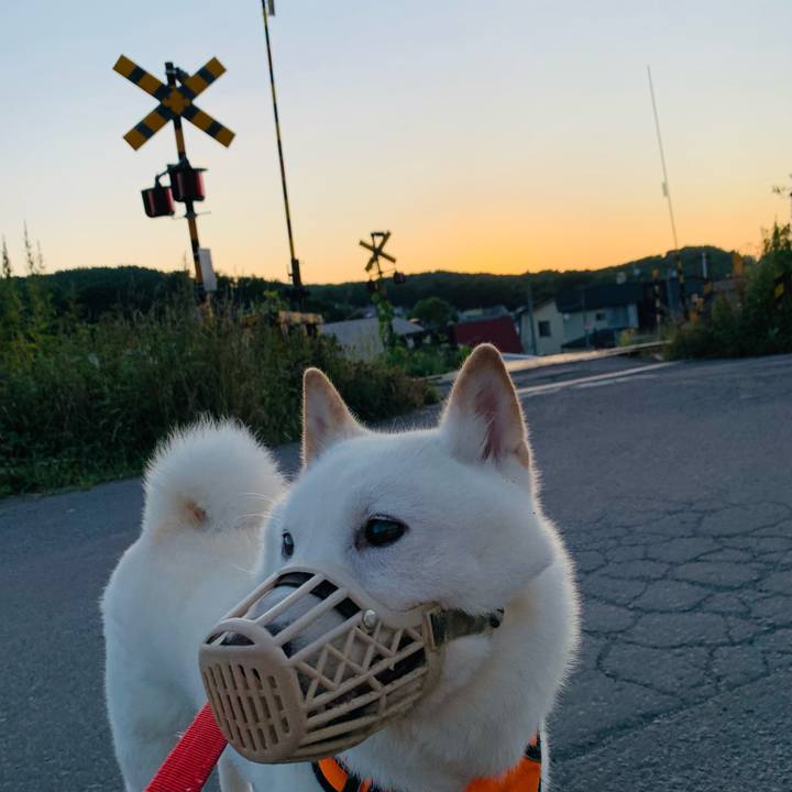 16c75c47 7249 4898 93ea 521eb24fa750 1626551617916