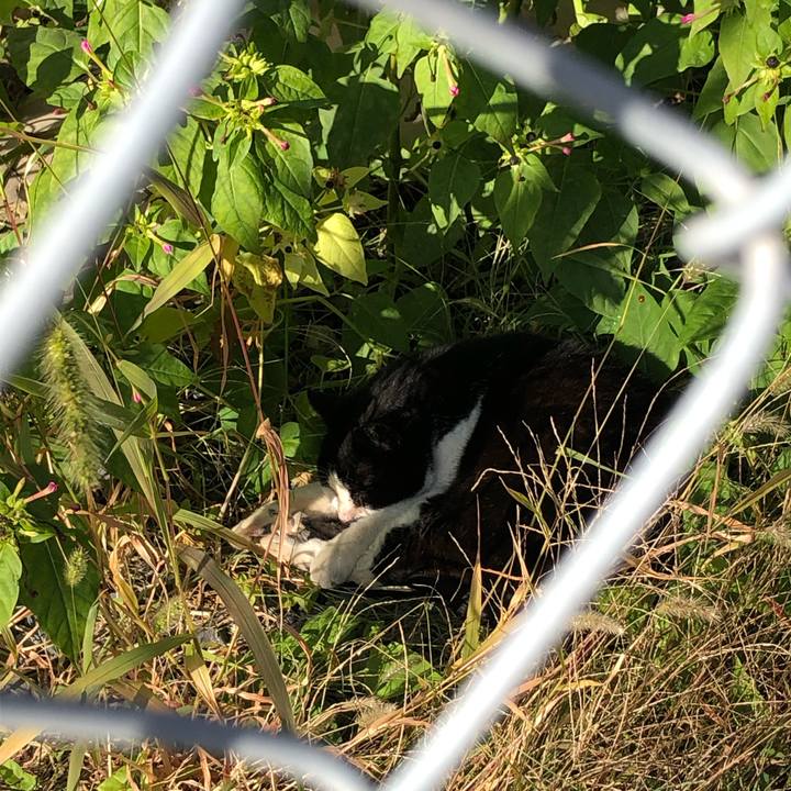 16c77c22 e870 4140 9235 1de5ffdc3813 1607438598140