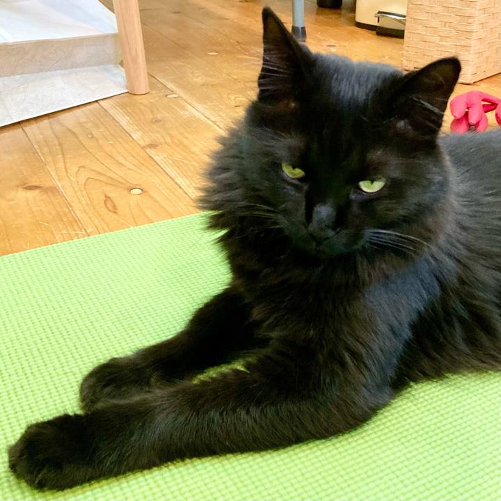 16c77fa1 10d2 48d9 b4a6 665cdd708830 1750244289304