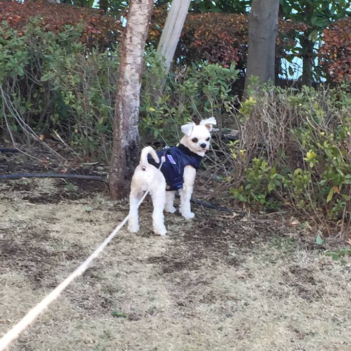 16c77fad 7601 4f63 961e 1898ae602de9 1546677505366