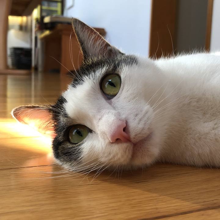 16c7828d 9f62 4726 adbf 09e5d147e2cd 1624265285228