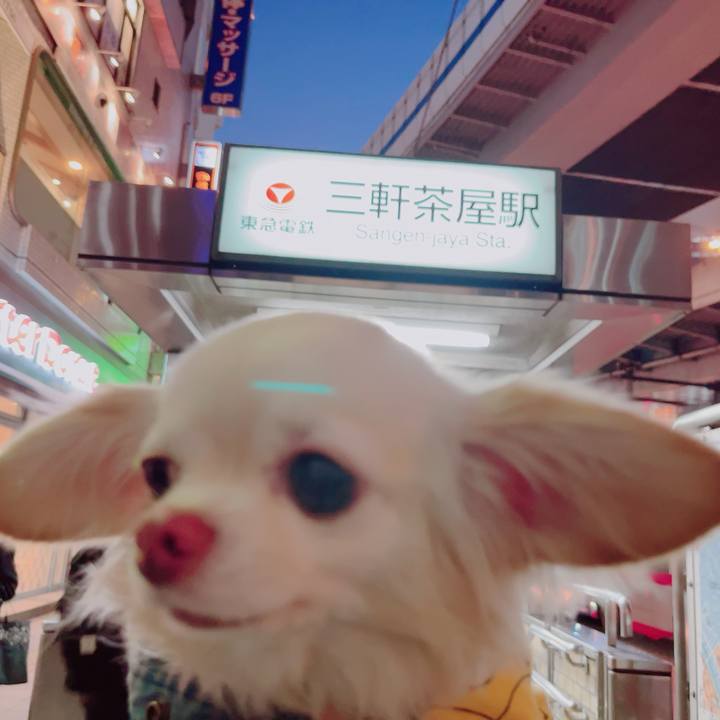 16c7ae67 7a4f 4659 8237 d475f1b05f72 1704442200021