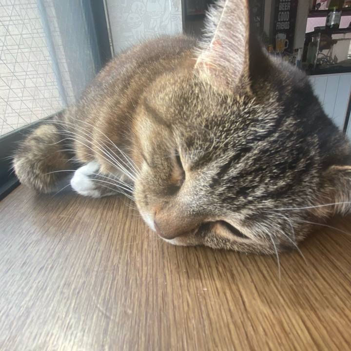 16c7b5cb 0f45 42ba a50e 356f01a1fb07 1681619617576