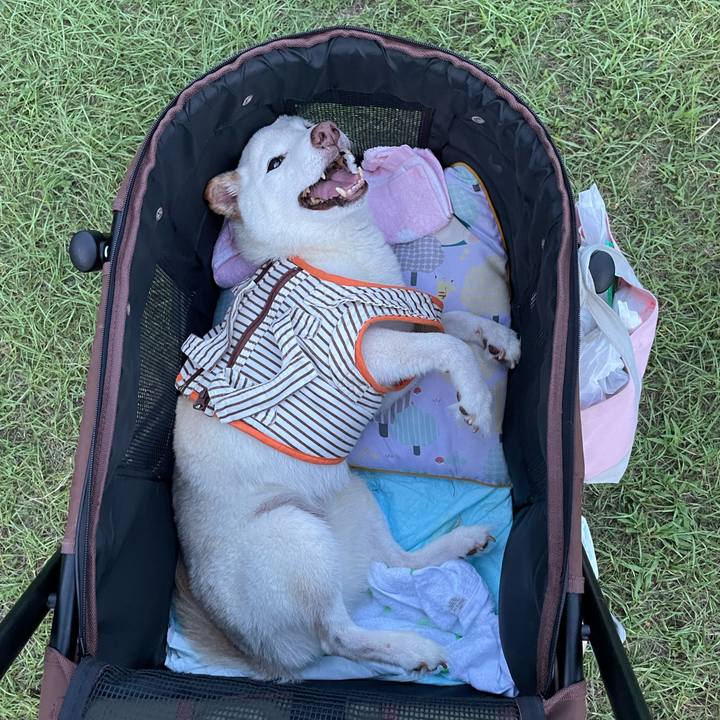 16c7b63c 047b 41d5 83b2 80e8f42a51ff 1660219643720