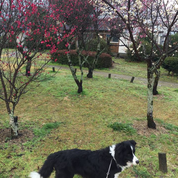 16c7baf4 da27 4563 bd9f ec06dab25550 1580175039161