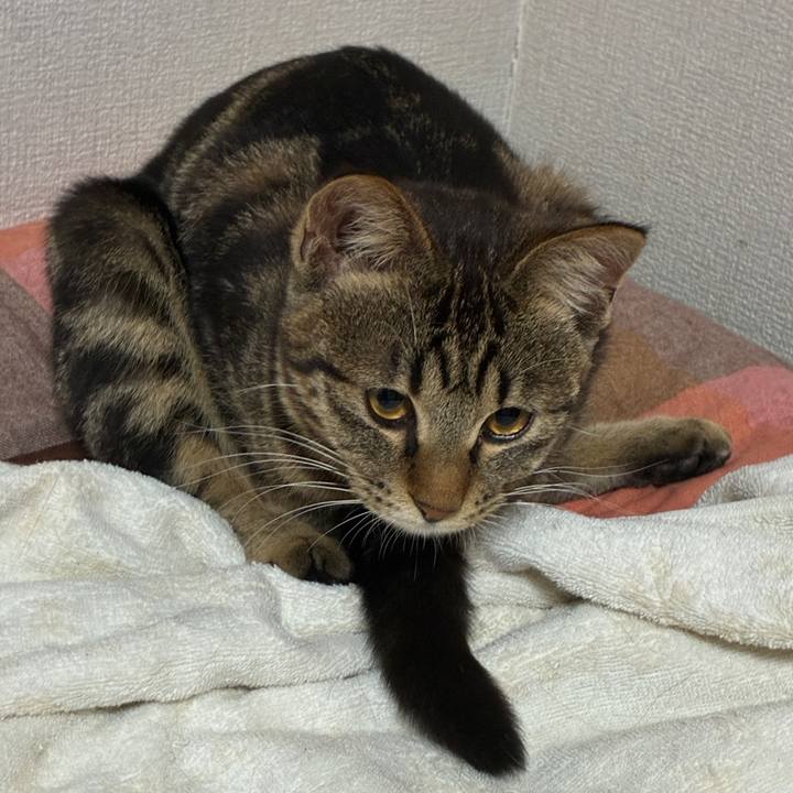 16c7d4b6 7cd1 4cb5 8eb4 cf7b7fab6fd4 1749555127275