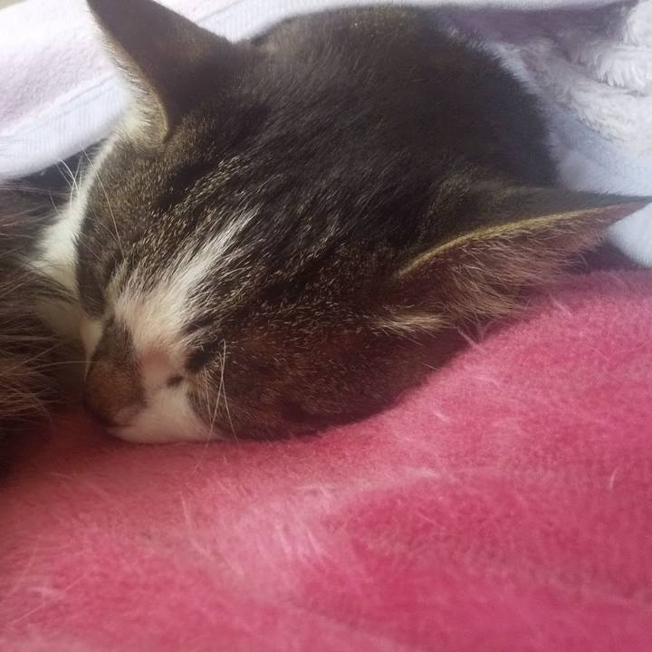 16c806b5 4877 4fe0 b61a 582c58e246e7 1738554064015